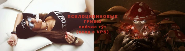 меф Алексин