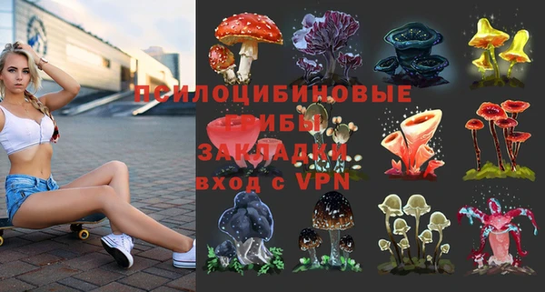меф Алексин