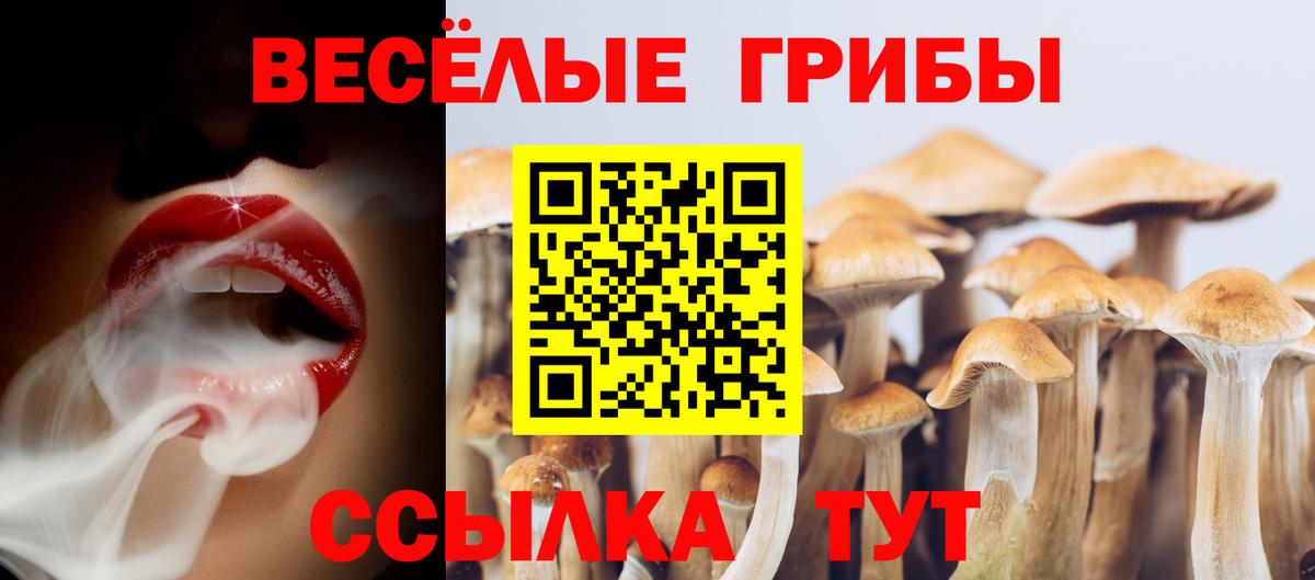 Псилоцибиновые грибы MAGIC MUSHROOMS Анжеро-Судженск
